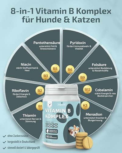 Vitamin B Komplex Hund & Katze [MADE IN GERMANY, ZUCKERFREI & LABORGEPRÜFT] Alle 8 B Vitamine für Hunde B1, B2, B3, B5, B6, B9, B12, K3 unterstützt Nerven, Energie, Fell & Immunsystem (60g (1er Pack))
