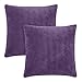 Amazon Brand - Umi Housse de Coussin 40 x 40cm Rectangulaire Coussin Exterieur en Velours Salon Moderne pour Chambre Taie d'oreiller Doux Confortable Violet