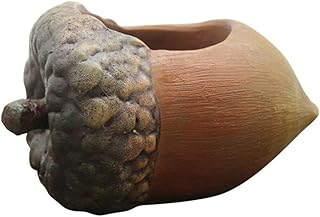 Cabilock Vaso de plantas para suculentas em forma de avelã de resina Mini Vaso de mesa para bonsai, lindo recipiente decorativo de flores para decoração de paisagem