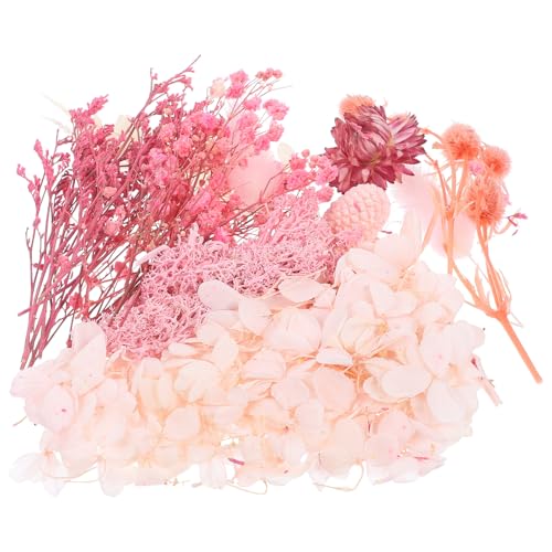 Kit de flores prensadas secas naturales para manualidades miniatura 1