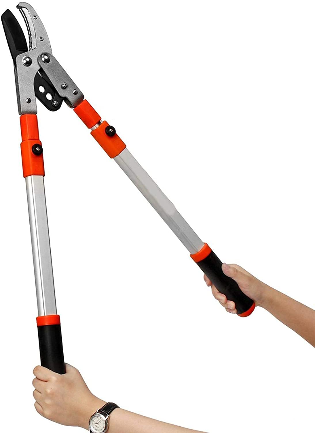Cortador de ramas Tijeras de cobertura, cortador, poda, tijeras de mano, cortador de plantas, herramientas de poda Trinquete de árbol telescópico Lopper Pruner Herramienta de jardín extensible Herram