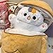 Ditucu 11.8 inch Taiyaki Cat Plush Pillow Cute Kitten Inside Fish 2 in 1 Soft Stuffed Animal Plushies Toys with Outfit Sleeping Doll Gifts for Girls Boys