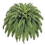Galebeiren 50' Fake Ferns Artificial Plants Large, 98 Fronds Artificial Ferns for Outdoors and Indoors, Suitable for Planter Garden Porch Office Decor