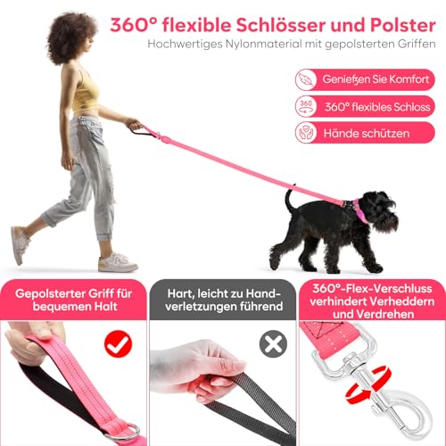 ChalkLit LED Hundeleine, Beleuchtete Hundeleine über USB Wiederaufladbar, 1,2 m, Weich Wasserdicht Reflektierend, für nächtliche Spaziergänge für große, mittelgroße Haustiere blinkende