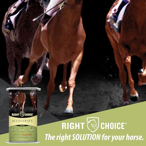 Kalmbach Feeds Right Choice Accelerate for Horse, 50 lb