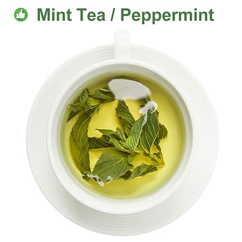 Miniatura 2 de Plant Gift Té 100% menta, té de menta, hojas de menta, té saludable, bolsas de té de menta orgánica, flor saludable, té de menta 0.7 onzas