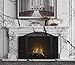 Fire Beauty Fireplace Screen 3 Panel Wrought Iron Metal 48