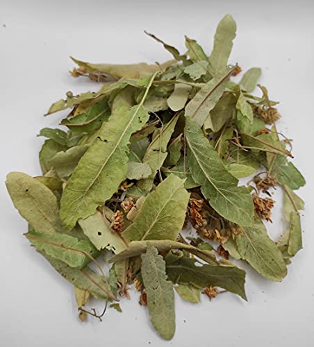 Tilo Seco Salvaje Hojas y Flores 85g a 1.95KG Cosecha Mayo 2022 Tilia Cordata (1950 gramos) - Imagen 3