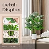 BTSD-home B0F4NKKF3F lato 4