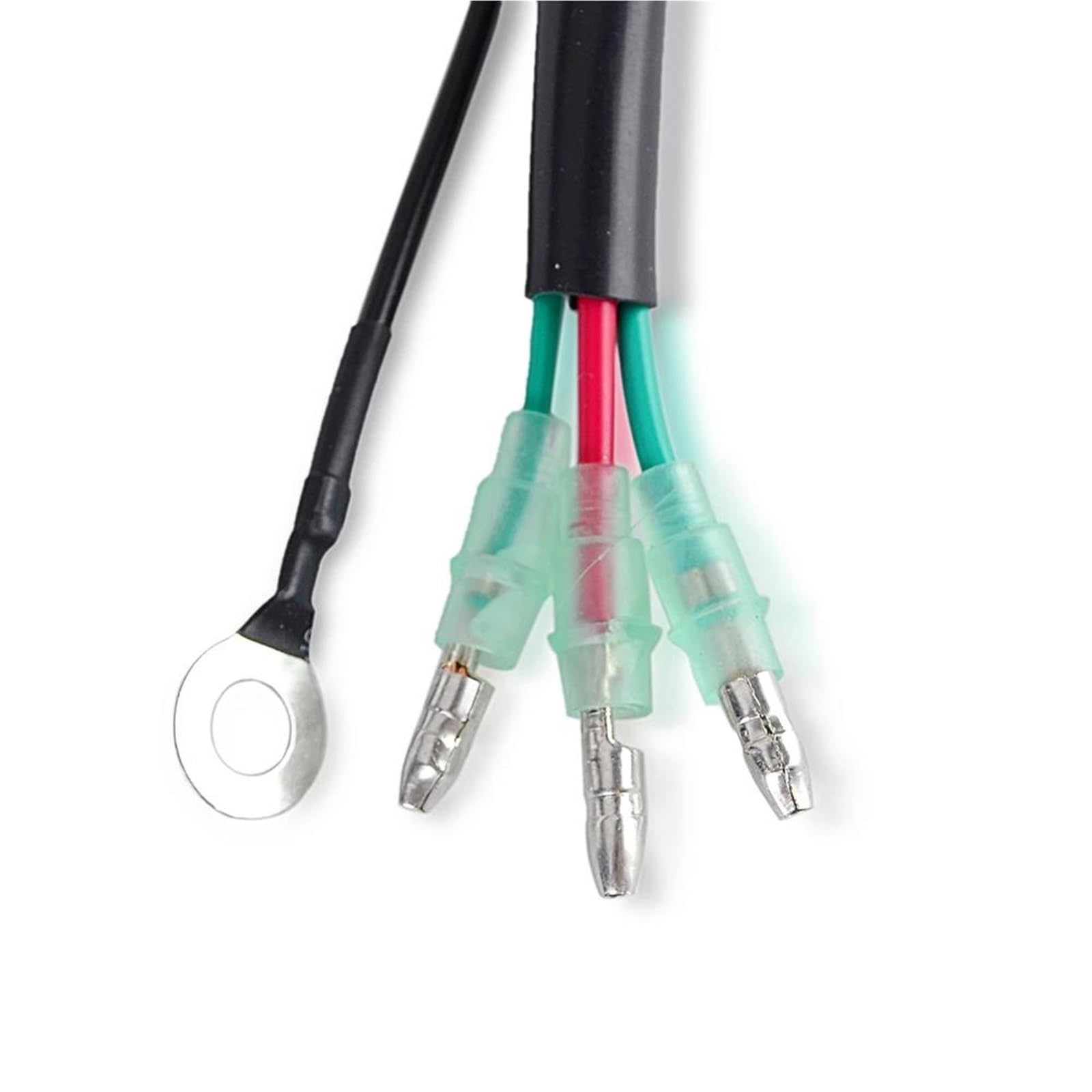 Amazon.com: MTYNERVD Outboard Motors 15 20 25 9.9 EL ELH ES ESH L