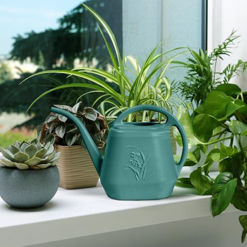 Smart Watering Can for Plants