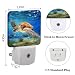 FSHVQKD Sea Turtle Corals Fish Night Light,Plug Into Wall for Boys Girls Bedroom Decorative Square Night Light Lamp 0.5w Sleep Friendly
