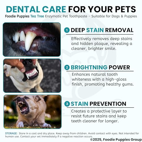 Image of Foodie Puppies Dental Care Tea Tree Toothpaste for Dogs - 100g with Soothing Mix of Tea Tree and Cinnamon Oil | Tartar Control Enzymatic Toothpaste Suitable for All Dogs and Puppies