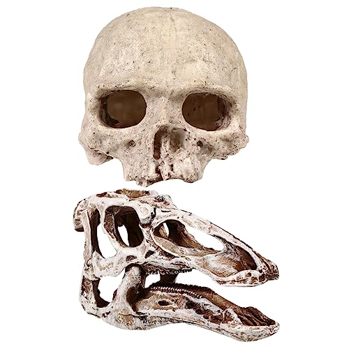 HANABASS 2??ANAEi ঒ޗpVF^[ ȃG[fBOPCu X