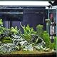 Aquarium Heizung,Aquarium Aquarium-Heizung,Aquarium Heizung 50W,Temperatur einstellbare Aquarium Heizung von 16 bis 32 ℃,Geeignet für Fische und Schildkröten,Geeignet für Aquarien von 25-40cm