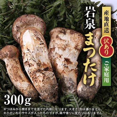 (2026秋発送)(訳あり)ご家庭用 岩泉まつたけ 300g