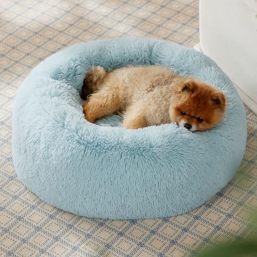 Image of Bedsure Calming Dog Bed for Small Dogs - Donut Washable Small Pet Bed, 23 inches Anti-Slip Round Fluffy Plush Faux Fur Large Cat Bed, Fits up to 25 lbs Pets, Aqua Blue