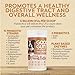 Fidobiotics Good Guts for Medium Mutts Probiotic for Dogs, 6 Billion CFUs, 11 Strains, 5 Digestive Enzymes, 2 Prebiotics, Digestive Gut Health for Dogs, Adult & Puppy Probiotics Supplements (30 Days)