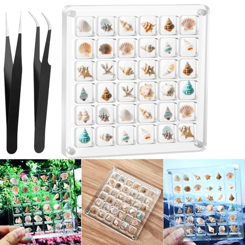 Vodolo Acrylic Magnetic Seashell Display Box,Clear Sea Shell Holder Display Box,Beach Shelling Collecting Tools,Magnet Storage Organizer Tiny Case for Seashell Diamond Beads (1 Pack-36 Grids)