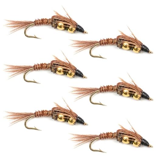 Cauda de faisão de contas duplas ninfa mosca pesca moscas - padrão de mosca úmida de truta e robalo - 6 moscas de gancho tamanho 10
