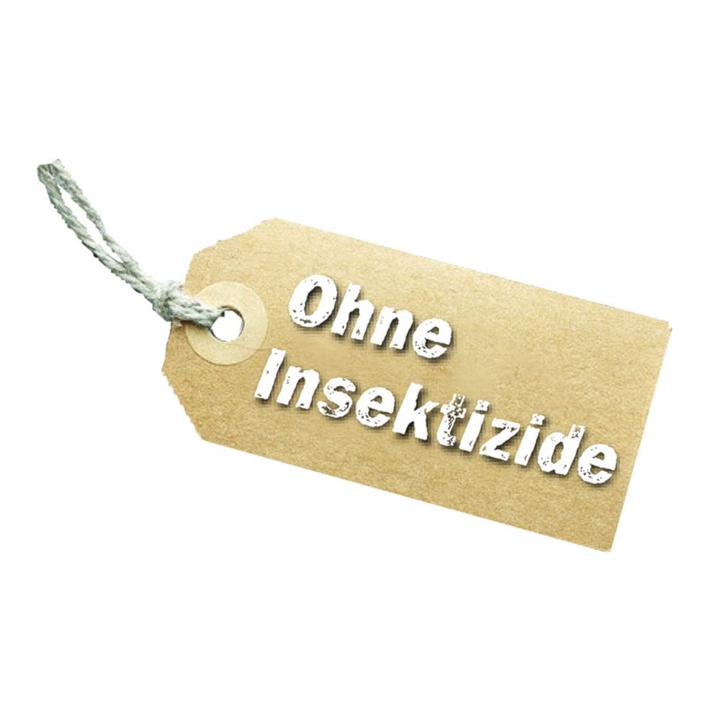Neudorff Neudomon BuchsbaumzünslerFalle Nachfüllpack - 3 Stück - Köder zum Nachbestücken Buchsbaumzünsler-Falle