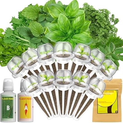 Lyko Gourmet Herb Seed Pod Kit