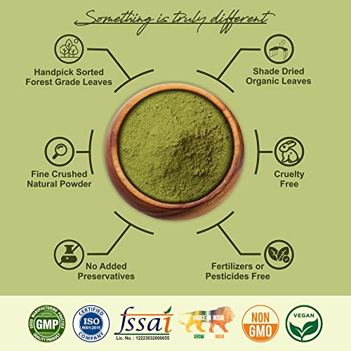 Image of Iyush Herbal Ayurveda Senna Powder - 100 Gram | Sanay Patti Powder | Nilavarai Powder Organic | Sonamukhi Powder | Sanay Leaves | Sanay Powder | Sanay Leaves Powder | Sana Leaf Powder | (Pack Of 2)