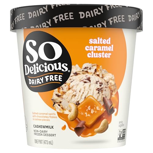 So Delicious Dairy Free Cashew Milk Frozen Dessert, Salted Carame...