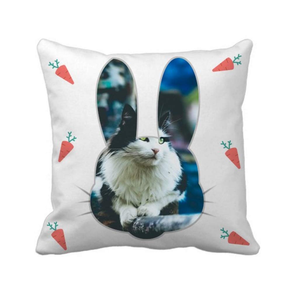 Coussin carré Chat paresseux pour photographie et décoration de chambre d'enfant