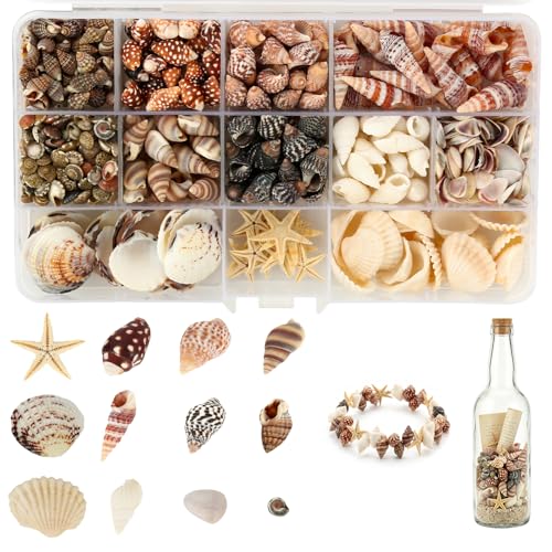 HOCUCHELAND 525 Pièces Coquillage Decoration, 12 Styles Perles Coquillage avec Conque, Etoile de Mer et Boîte Transparente, Coquillages Decoration Marine...