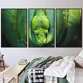signwin 3 Piece Framed Canvas Wall Art Snakes...