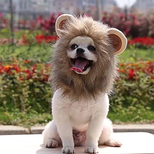 Dog Lion Mane - Funny Lion Mane For Dogs - Complementary Lion Mane For Dog Costumes - Lion Wig For Small Sized Dogs Lion Mane Wig For Dogs (M,Brown) #TOP6