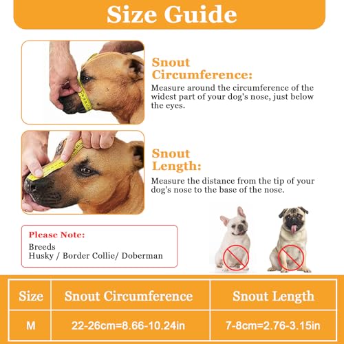 Hund Maulkorb, Maulkorb Für Hunde Weiche Verstellbare Mesh Maulkorb Mittlere Hunde, Giftköderschutz Hund Atmungsaktive Maulkörbe Für Hunde Maulkorb für Kleine Mittlere Große Hunde (M, Schwarz)