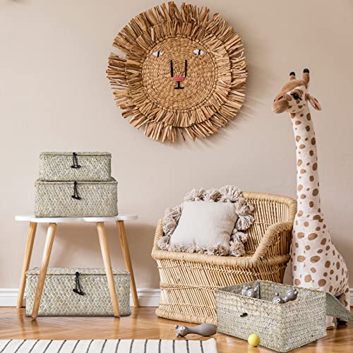 Woanger Set Of 4 Wicker Baskets With Lids Handwoven Seagrass Storage Baskets Rattan Box With Lid Rattan Storage Organizer Desktop Woven Rectangular Basket Bins For Shelf Closet, 4 Size (White) #TOP2