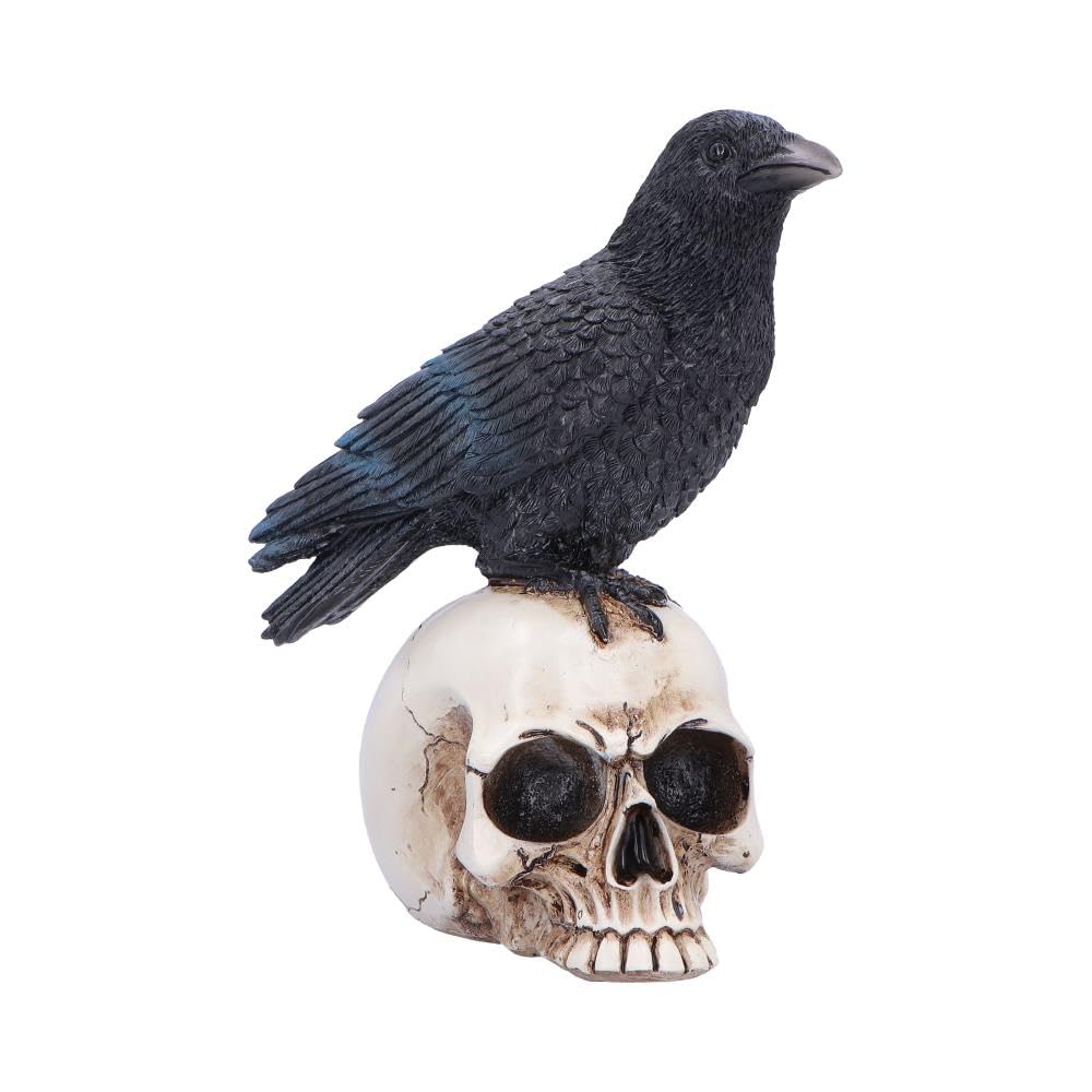 Nemesis Now Nevermore Vigil Raven on Skull Figurine – Gothic Raven Collectible Ornament
