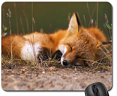 Fox Mouse Pad, Mousepad