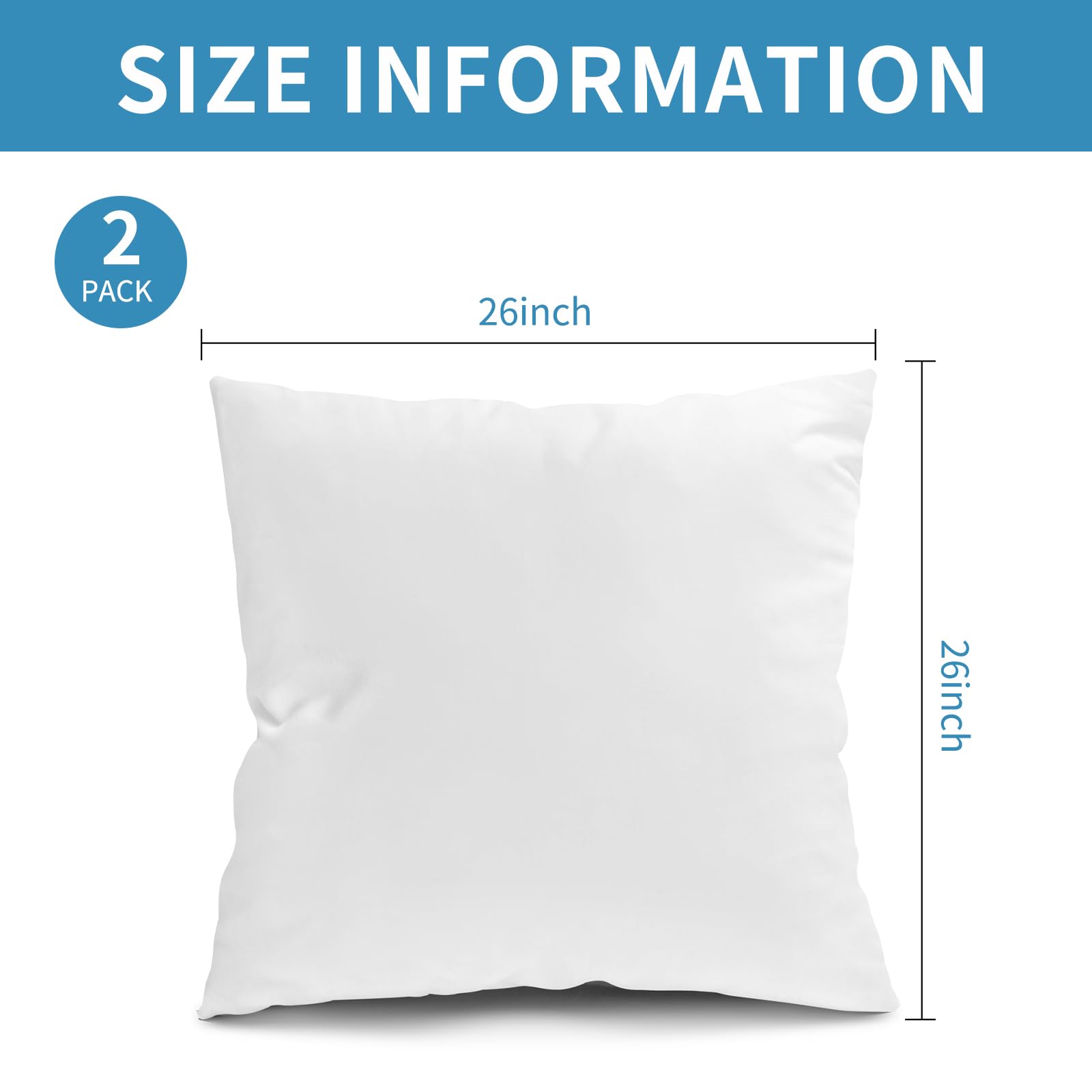 https://m.media-amazon.com/images/I/51lB1noURvL.jpg