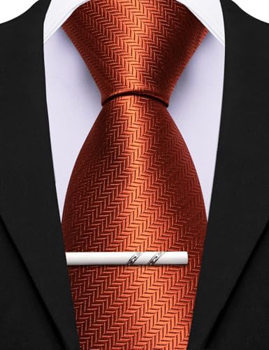 Image of Barry.Wang Silk Men Ties Formal Stripes Necktie and Tie Clip for Wedding Party Business Fashion Classic