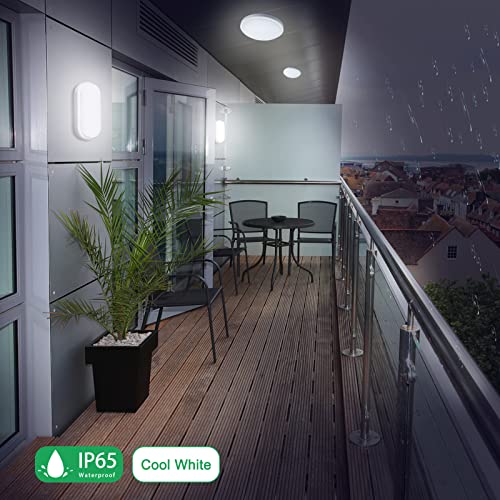 REYLAX Ovale Lampada da Parete Esterno LED