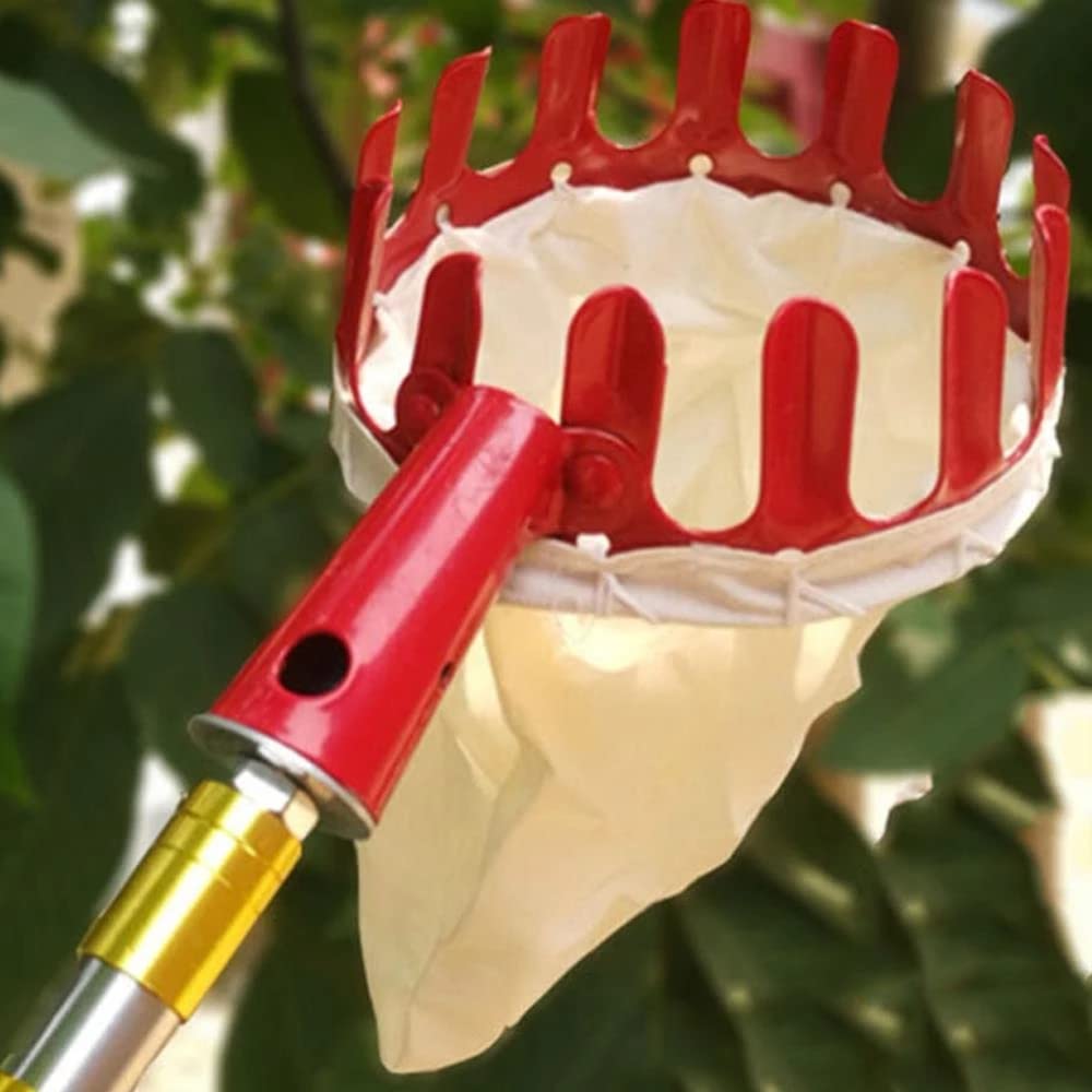 YXSH Raccoglitore di Frutta Rossa in Metallo Raccoglitore di Raccoglitore di Frutta Dispositivo Esterno Creativo Senza Palo Strumento Portatile per Giardinaggio da Cortile Agricolo