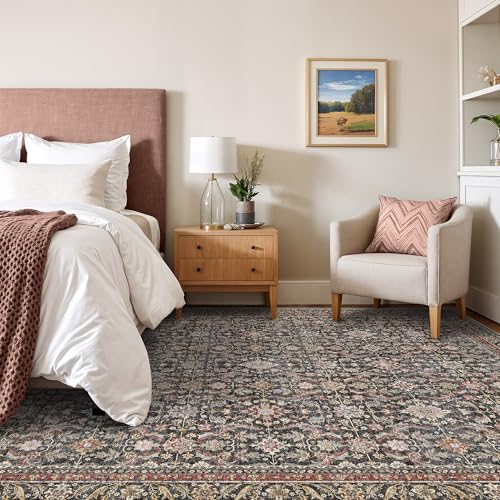 Rugland 5x7 Area Rugs - Stain Resistant Washable Rug, Anti Slip Rugs for Living Room, Vintage Tribal Area Rugs(Vintage01-Rust, 5'x7')