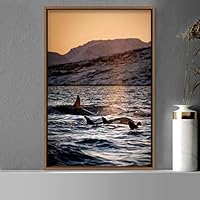 Framed Canvas Wall Art Fish on The Surface Bedroom Dolphin Marine Life Multicolor Nautical Photography - 16x24 inches