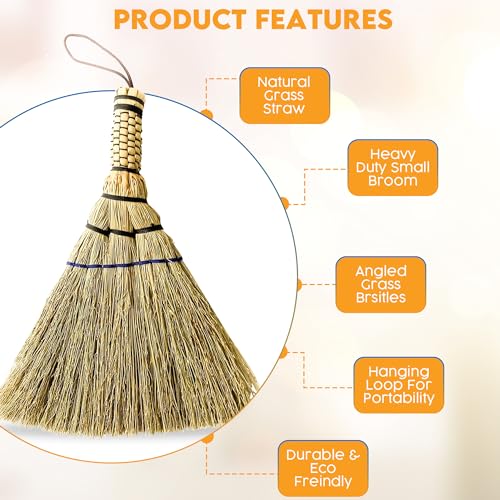 Image of Handcrafted Small Turkey Wing Whisk Broom - Kong Grass & Bamboo Handle - Whisks Away Dust & Debris - Flagged Bristle with Hanging Loop - Perfect for Car, Laptop, Indoor & Outdoor - 9 Inch