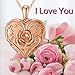 SOULMEET 18k Rose Gold Plated Silver Rose Gold Locket Necklace That Holds 2 Pictures (Locket only)
