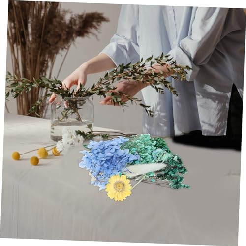 Flores secas prensadas para manualidades y decoración miniatura 7