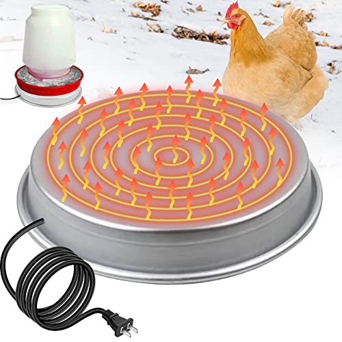 10 Best Heated Chicken Waterer [Buying Guide 2022] • Sacred Car