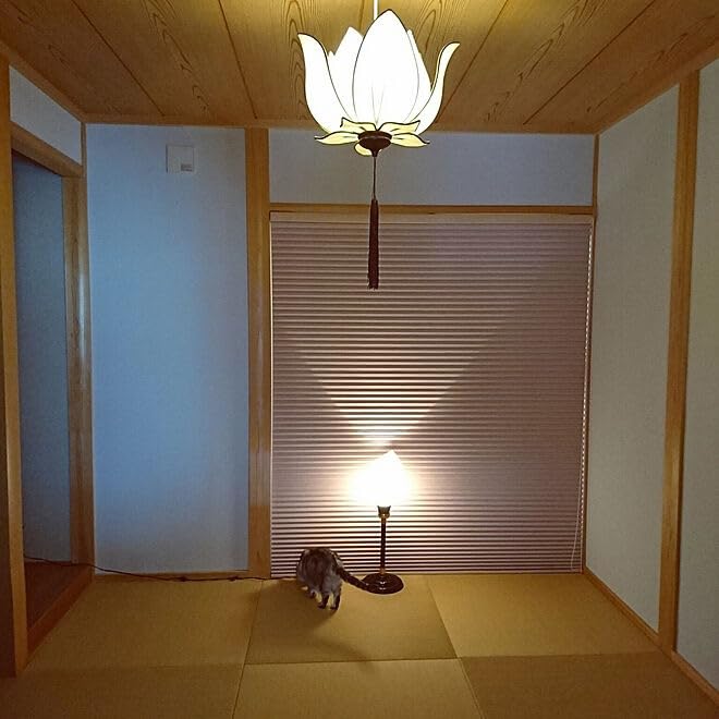 Amazon | Wanon 蓮花Lぺンダントライト 1灯式 アジアン 照明 led電球