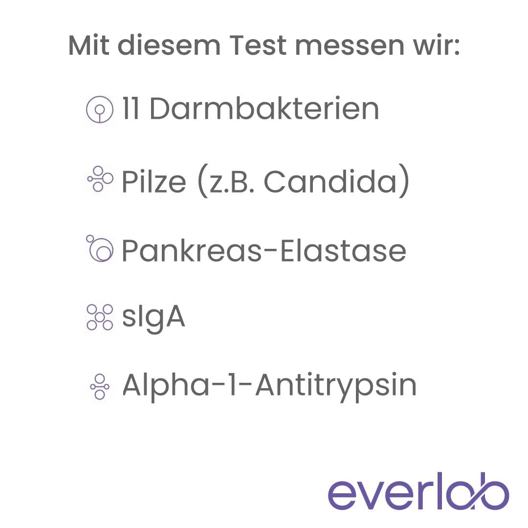 Darmgesundheits Test – Darmflora Plus Untersuchung auf Darmbakterien, Candida, Leaky Gut u.v.m. – Stuhltest – Selbsttest für Zuhause