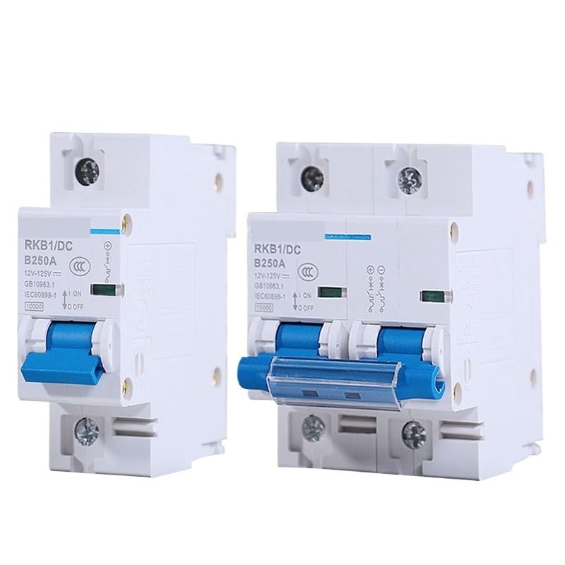 1P/2P DC Circuit Breaker 12/24/48/60/120V 80A 100A 125A 150A 200A 250A Solar RV Yacht Battery Short Circuit Protection Switch(1P,200A)