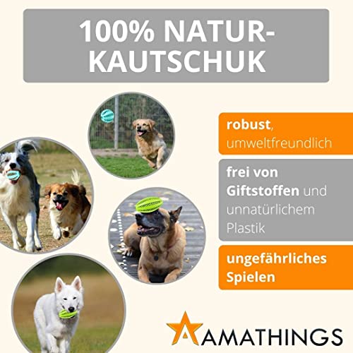 AMATHINGS Hundespielzeug Set Doppelpack Snackball und Snackrugby – Futterspielzeug Hund für intelligentes Spielen – Snackball Hund aus 100% Naturkautschuk – Leckerli Spielzeug für Hunde